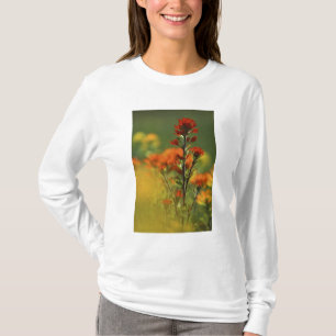 Camiseta EUA, Michigan, Ilha Drummond, Planícies Maxton,