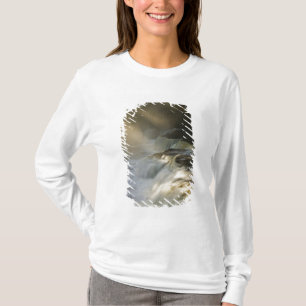 Camiseta EUA, Michigan, Península Superior. Raios de sol em