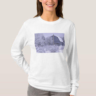 Camiseta EUA, Michigan, Rochester Hills. Azul nevado