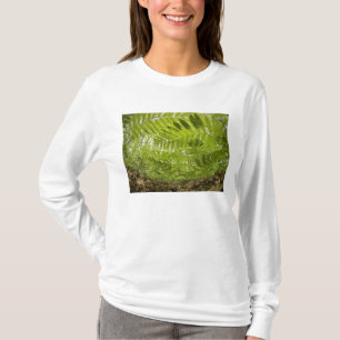 Camiseta EUA, Minnesota, Costa Norte do Lago Superior,