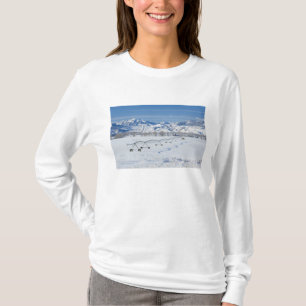 Camiseta EUA, MT, Fazenda perto de Livingston