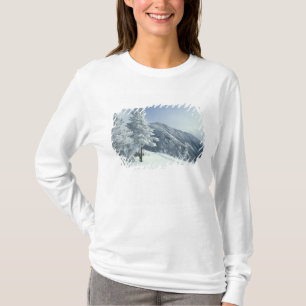 Camiseta EUA, NH, árvores cobertas de neve Trilhas Snoeshoe