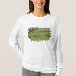 Camiseta EUA, nordeste de Ohio. Bugre Amish em fazenda