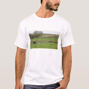 Camiseta EUA, nordeste de Ohio. Bugue Amish em fazenda