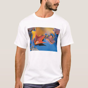 Camiseta EUA, Nordeste, Folha de Bordo em Reflexo