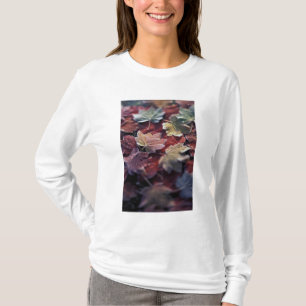 Camiseta EUA, Noroeste Pacífico. Folhas de bordo japonês