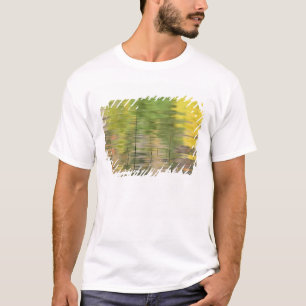 Camiseta EUA, Nova York, Adirondacks, Reflexos na água