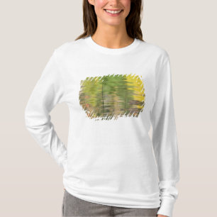 Camiseta EUA, Nova York, Adirondacks, Reflexos na água