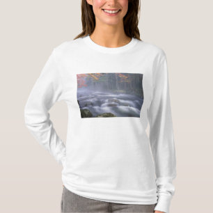 Camiseta EUA, Nova York, Adirondacks, Rio Big Moose