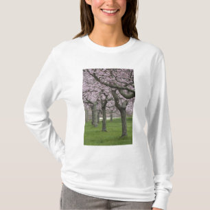Camiseta EUA, Nova York, East Hampton. Árvores de cereja e