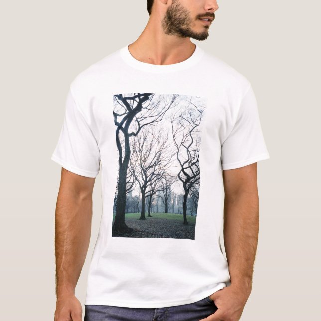 Camiseta EUA, Nova York, Nova Iorque:Central Park (Frente)