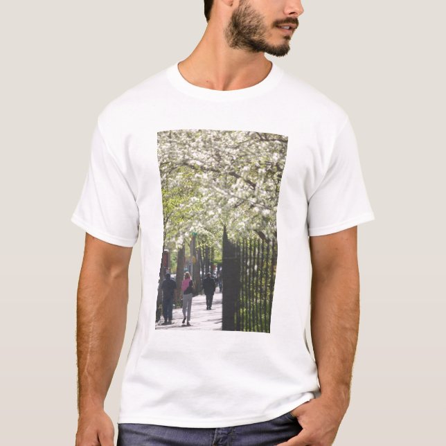 Camiseta EUA, Nova York, Nova Iorque, Manhattan:8 (Frente)