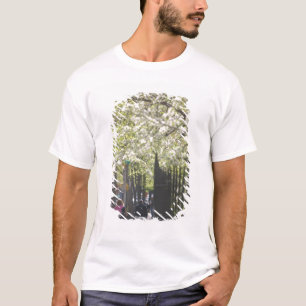 Camiseta EUA, Nova York, Nova York, Manhattan: 8