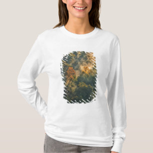 Camiseta EUA, Nova York, Parque Estadual Letchworth. Nascer