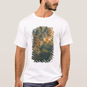 Camiseta EUA, Nova York, Parque Estadual Letchworth. Nascer