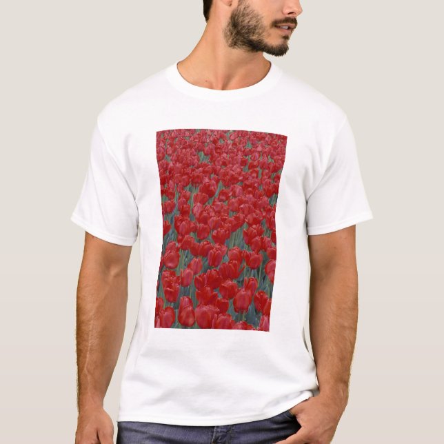 Camiseta EUA, Ohio, Cincinnati. Cama de tulipas vermelhas (Frente)