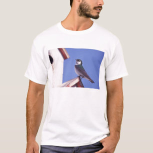 Camiseta EUA, Oregon. Andorinha-de-dorso-verde Tachycineta