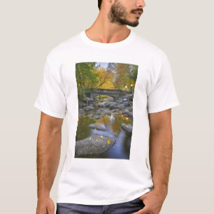 Camiseta EUA, Oregon, Ashland, Lithia Park. Outono