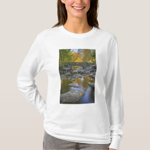 Camiseta EUA, Oregon, Ashland, Lithia Park. Outono