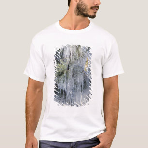 Camiseta EUA, Oregon, Bend. O gelo no pinheiro Ponderosa