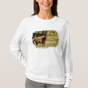 Camiseta EUA, Oregon. Cavalo em campo de margaridas