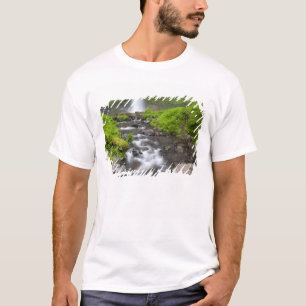 Camiseta EUA, Oregon, Columbia River Gorge, Latourell