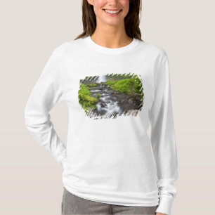 Camiseta EUA, Oregon, Columbia River Gorge, Latourell