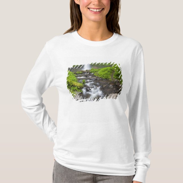 Camiseta EUA, Oregon, Columbia River Gorge, Latourell (Frente)