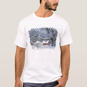 Camiseta EUA, Oregon, Condado de Clackamas. Neve fresca