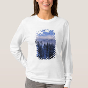 Camiseta EUA, Oregon, Floresta Nacional Deschutes, Sul
