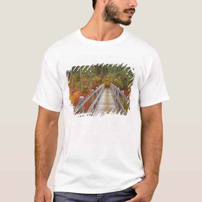 Camiseta EUA, Oregon, Floresta Nacional Willamette. (Frente)