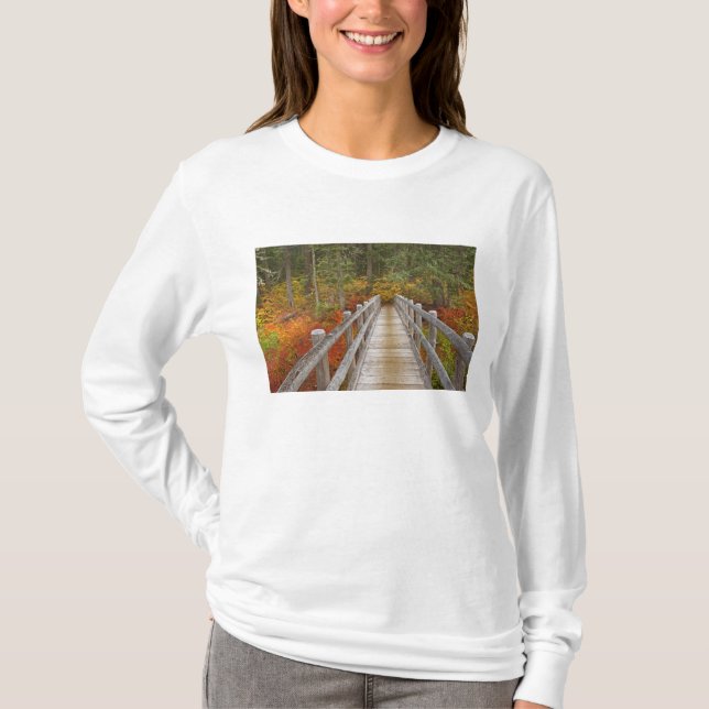 Camiseta EUA, Oregon, Floresta Nacional Willamette. (Frente)