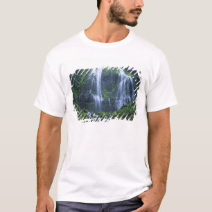 Camiseta EUA, Oregon, Floresta Nacional Willamette. Vista d