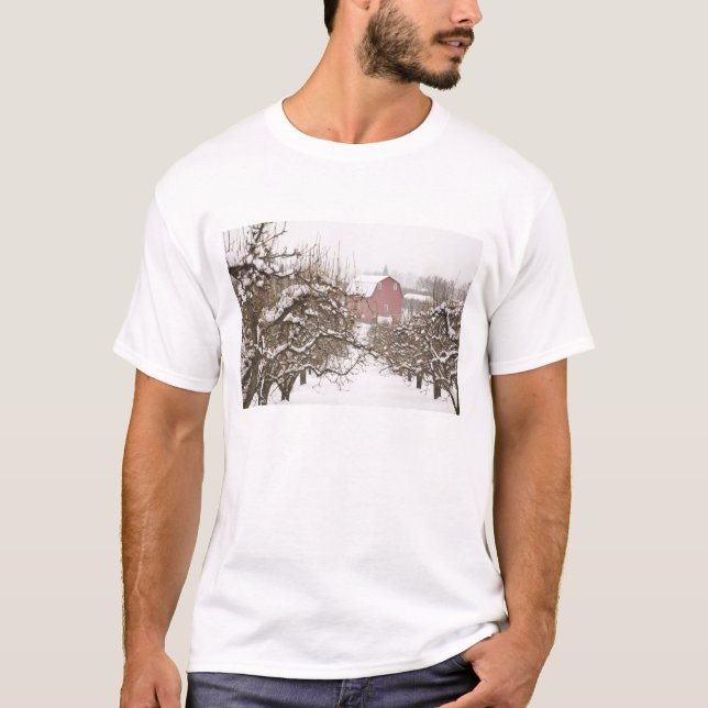 Camiseta EUA, Oregon, Hood River. Maçã coberta de neve (Frente)