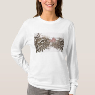 Camiseta EUA, Oregon, Hood River. Maçã coberta de neve