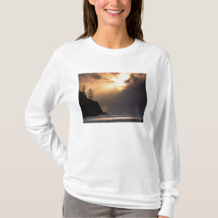 Camiseta EUA, Oregon, perto de Oswald West State Park, Tard
