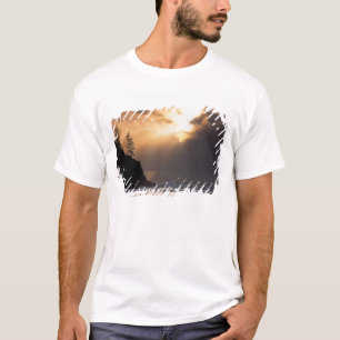 Camiseta EUA, Oregon, perto de Oswald West State Park, Tard