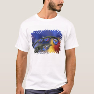Camiseta EUA, Oregon, Portland, Close-up de joaninha