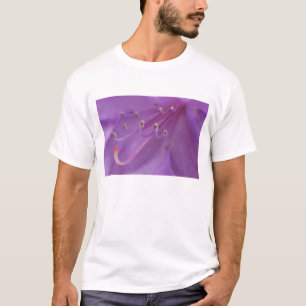 Camiseta EUA, Oregon, Portland. Close-up de uma