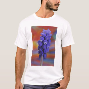 Camiseta EUA, Oregon, Portland. Close-up de uva azul