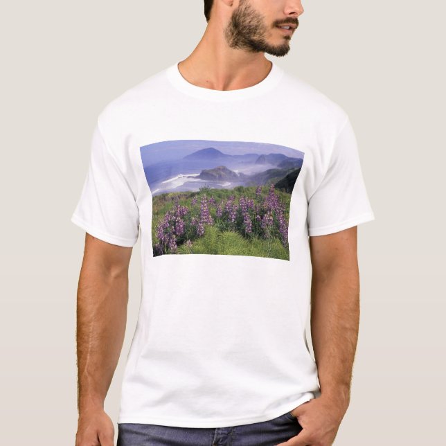 Camiseta EUA, Oregon, Praia Nesika. Lupine e Oregon (Frente)