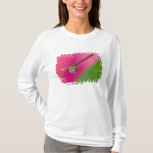 Camiseta EUA, Oregon, Shore Acres Gardens, Gota de água