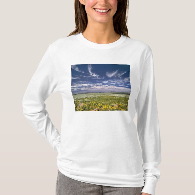 Camiseta EUA, Oregon, Steens Mountain. Primavera burgeons (Frente)