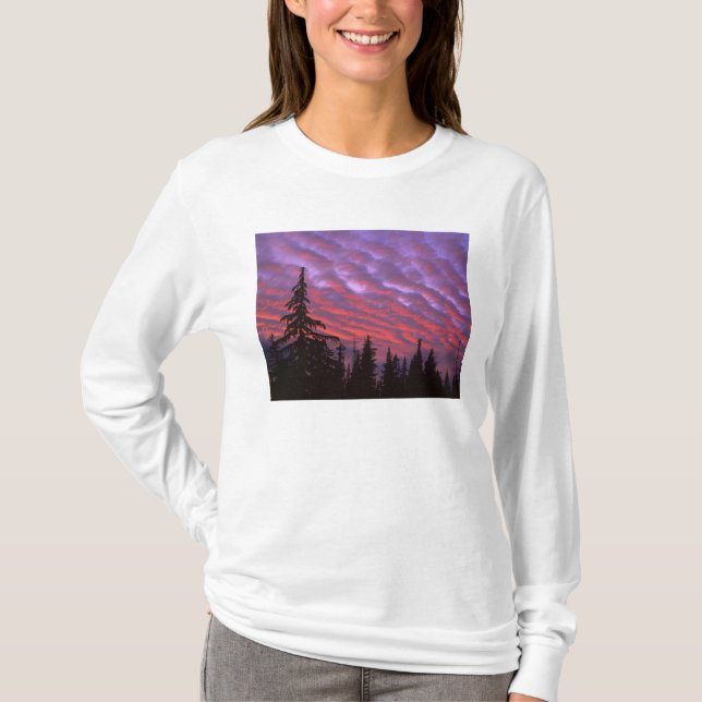Camiseta EUA, Oregon, Three Sisters Wilderness, Vívido (Frente)