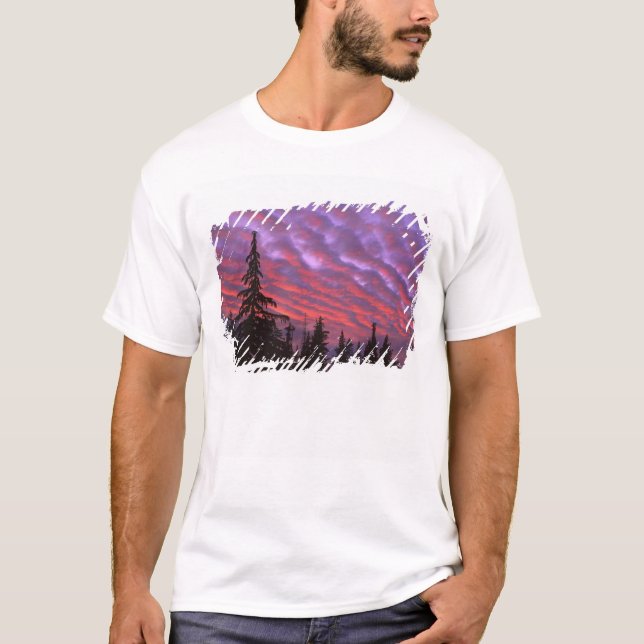 Camiseta EUA, Oregon, Três Irmãs Selvagem, Vivid (Frente)