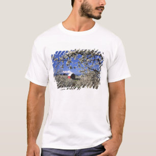 Camiseta EUA, Oregon, Vale do Rio Hood, Pomar de peras