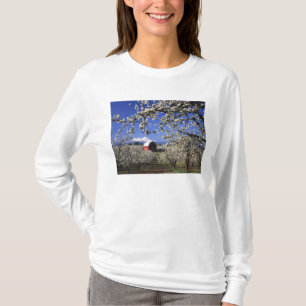 Camiseta EUA, Oregon, Vale do Rio Hood, Pomar de peras