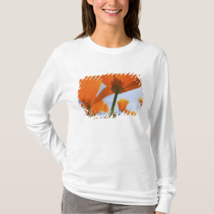 Camiseta EUA, Oregon, Vale do Willamette, Close UP de 2