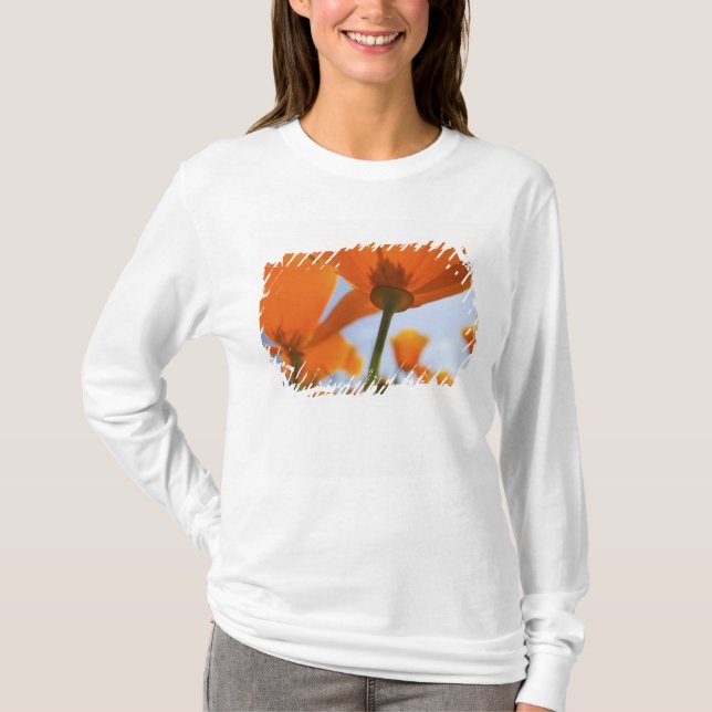Camiseta EUA, Oregon, Vale do Willamette, Close UP de 2 (Frente)