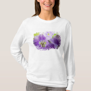 Camiseta EUA, Oregon, Vale Willamette, Larkspur Close